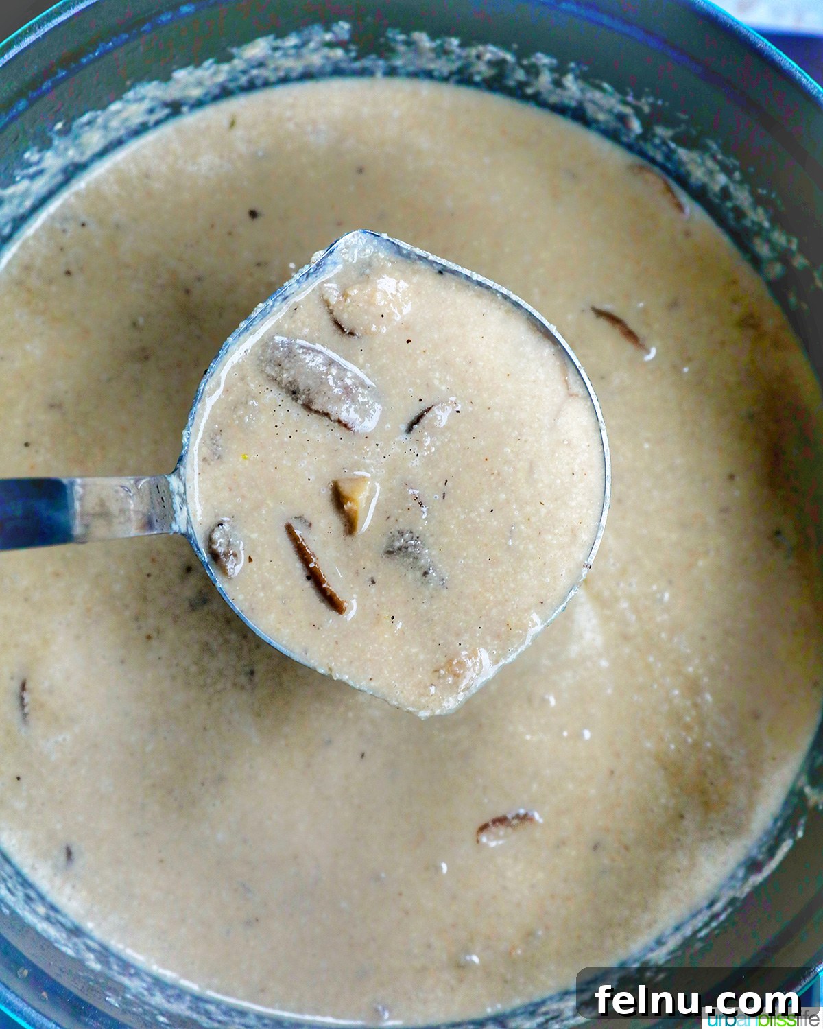 Creamy Vegan Mushroom Delight 23 A ladle of creamy mushroom soup held over a pot, showcasing its texture and the cooking vessel.