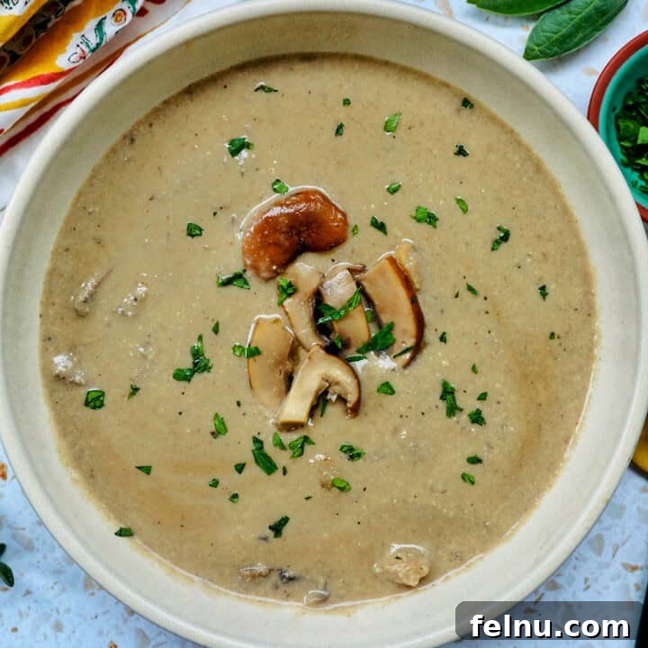Creamy Vegan Mushroom Delight 24 bowl of dairy free mushroom soup.