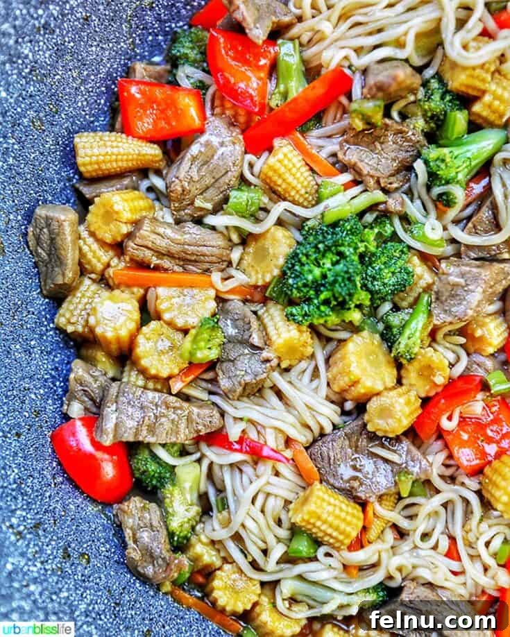 Beef Lo Mein Recipe