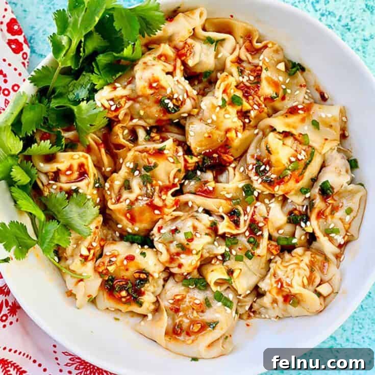 Pork and Shrimp Wonton Recipe