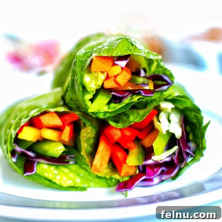 Healthy Rainbow Salad Rolls