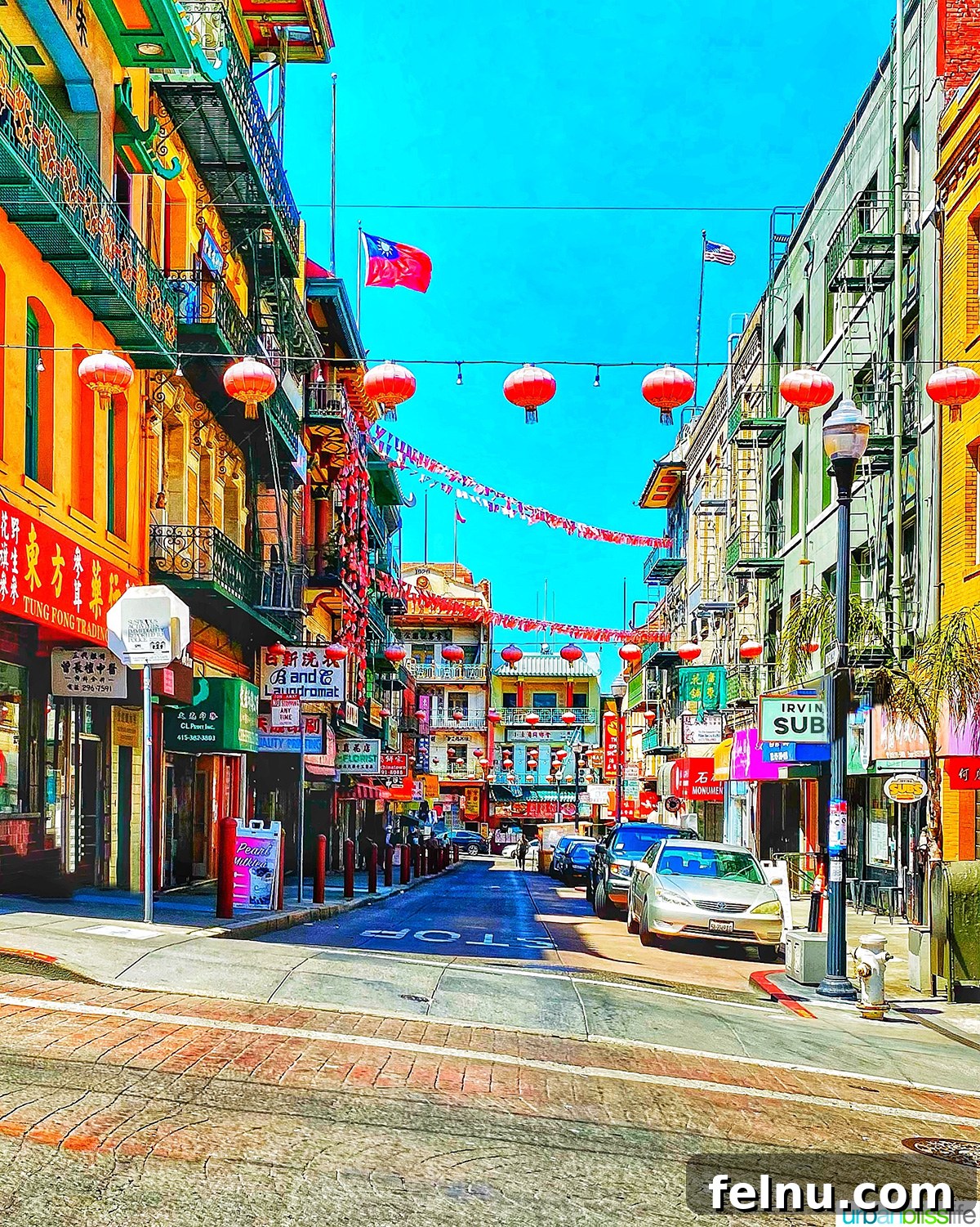 Delicious Recipes to Ring in the Lunar New Year 4 A bustling Chinatown street during Lunar New Year celebrations.