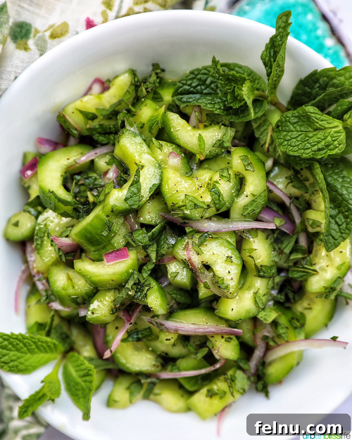 Cucumber Mint Delight 2 Cucumber Mint Salad