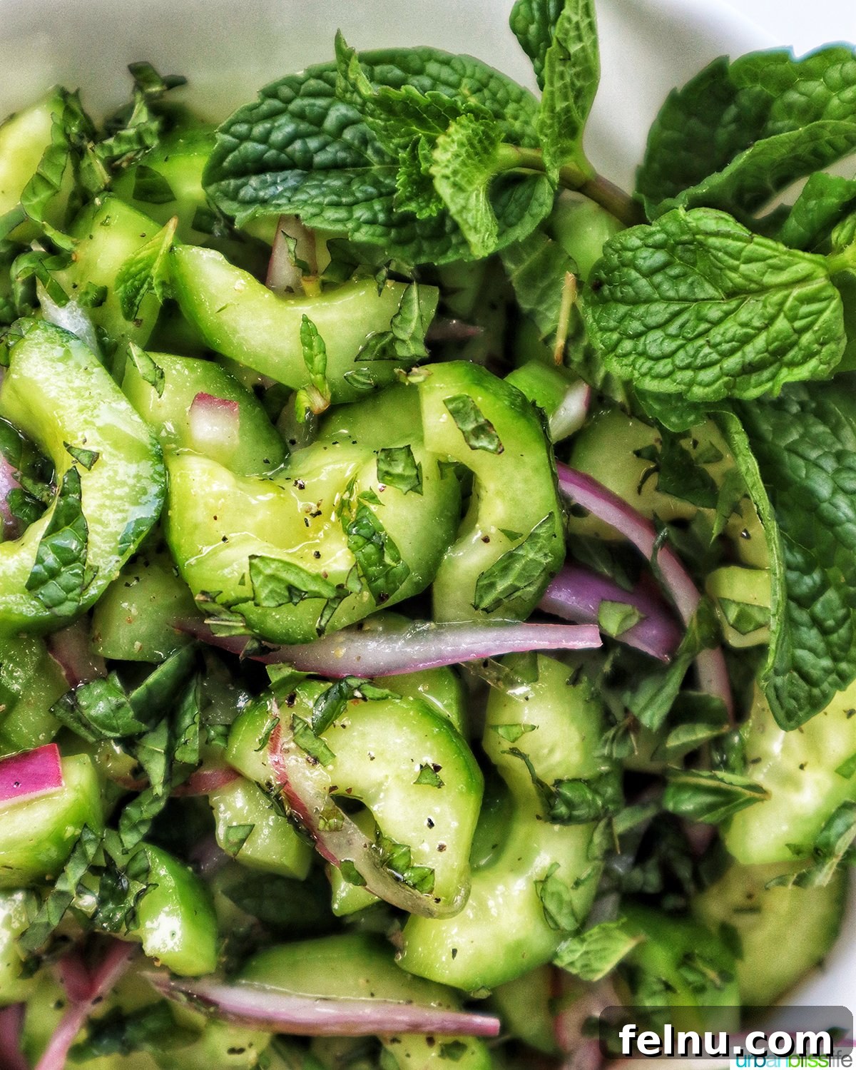 Cucumber Mint Delight 3 Cucumber Mint Salad Close-Up