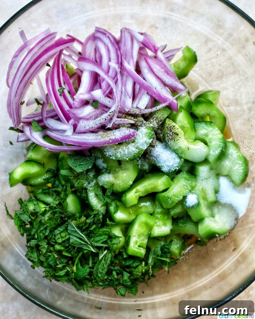 Cucumber Mint Delight 7 Cucumbers, Mint, and Red Onions