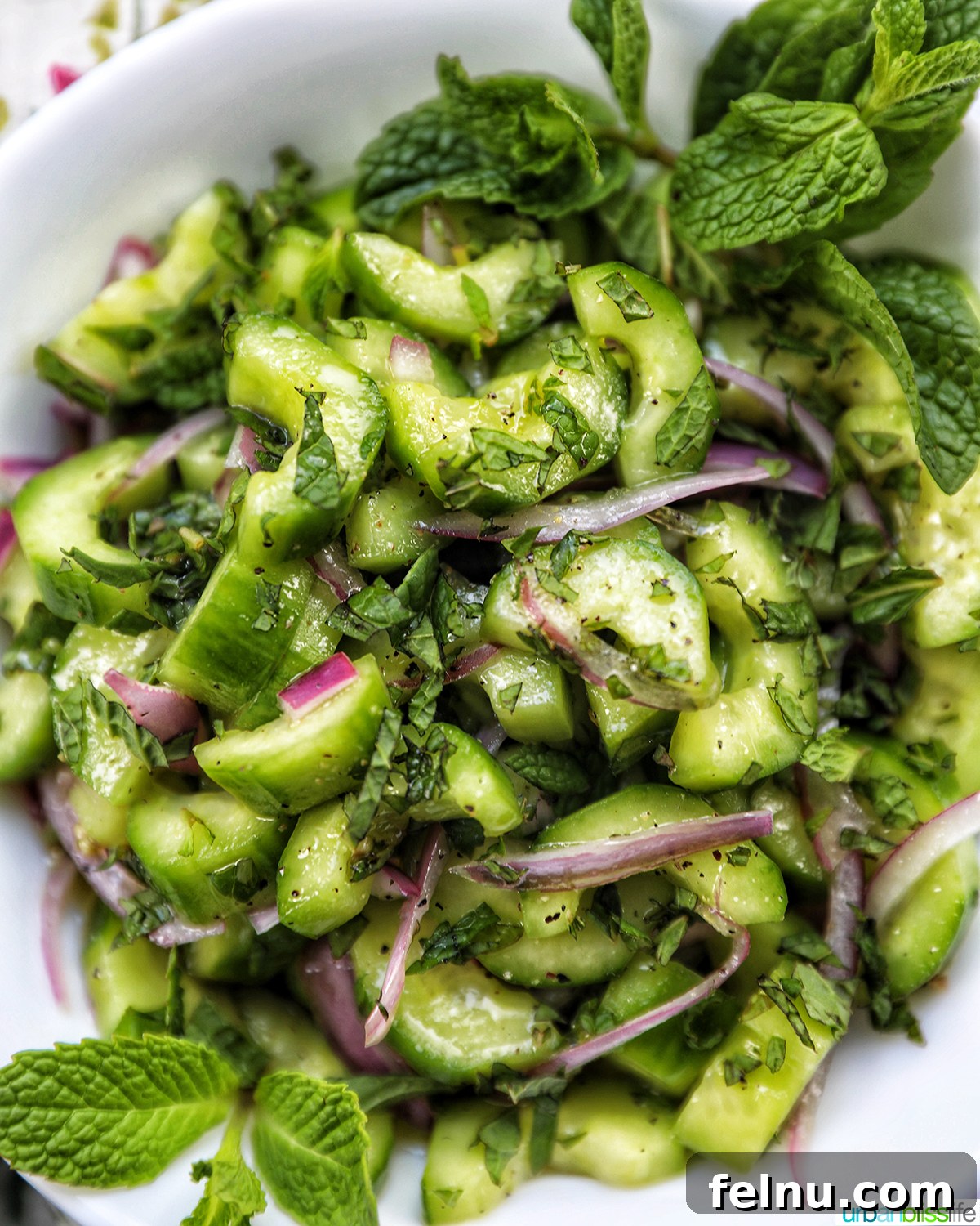 Cucumber Mint Delight 10 Cucumber Mint Salad in a Bowl