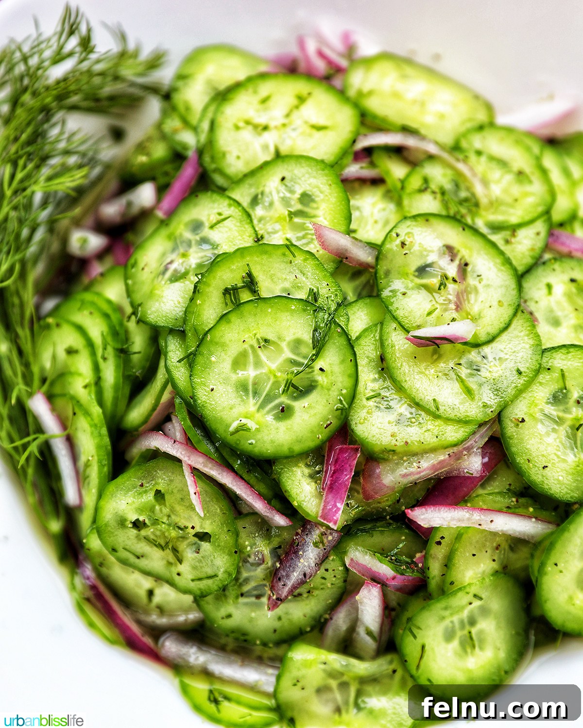 Garden Fresh Cucumber Dill Salad 2 bowl of cucumber dill salad.