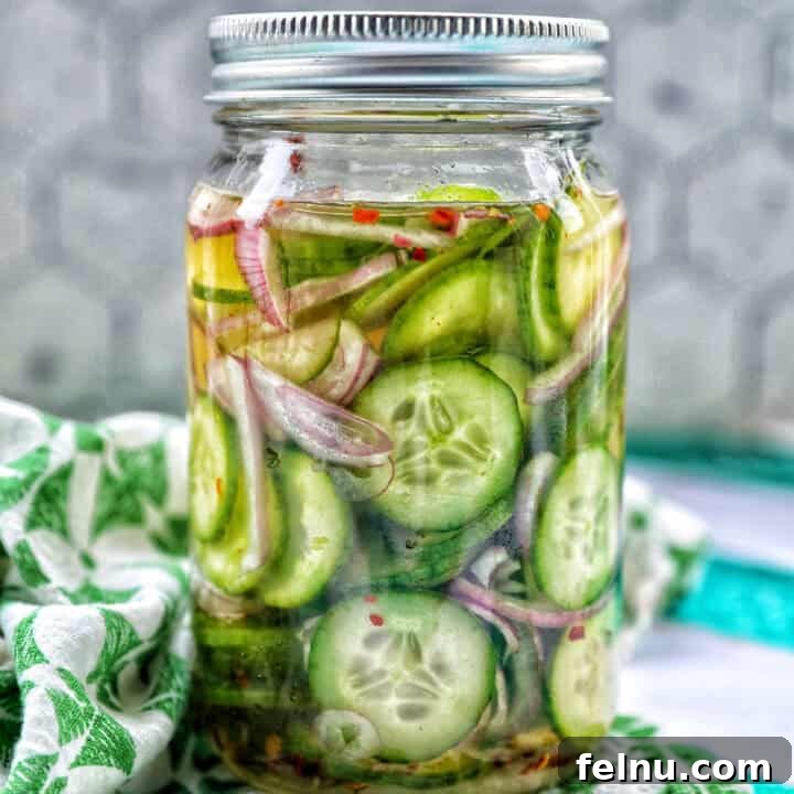 Spicy Asian Cucumber Pickles 10 jar of Asian pickled cucumbers.