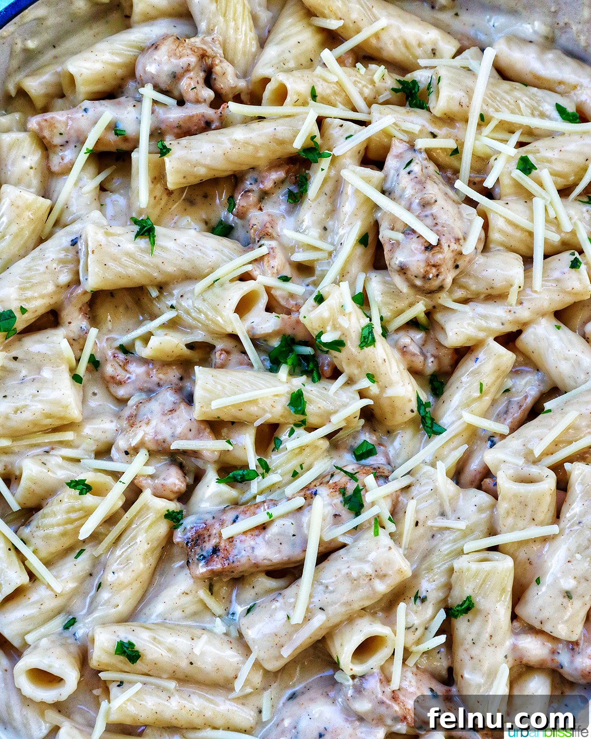 Garlic Parmesan Chicken Pasta
Scrumptious Garlic Parmesan Chicken Pasta 19 Close up of Garlic Chicken Parmesan Pasta