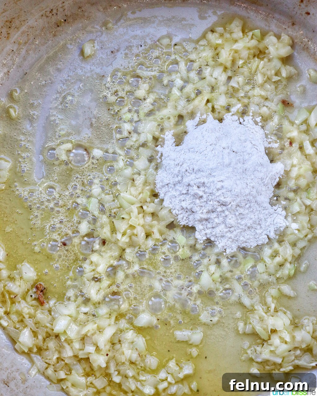 Garlic Parmesan Chicken Pasta
Scrumptious Garlic Parmesan Chicken Pasta 10 Adding Flour