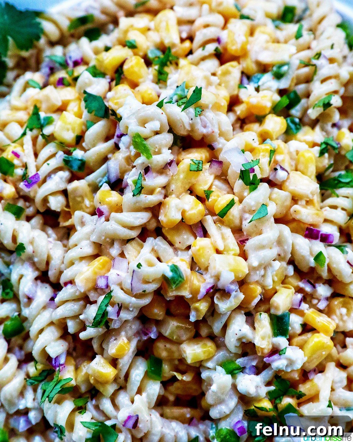 Zesty Elote Pasta Salad 3 Close-up view of the creamy and vibrant Mexican street corn pasta salad, showcasing its fresh ingredients and enticing textures.