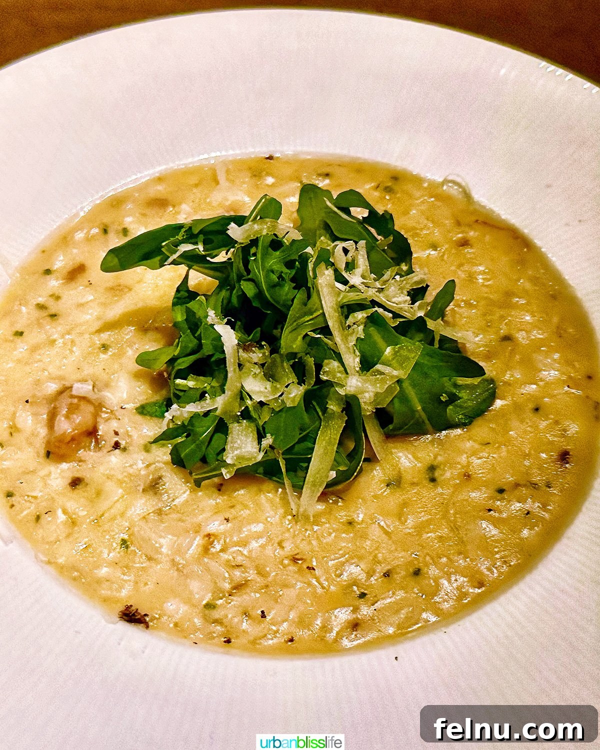 Carlotto's New York Slice 13 Risotto at Carlotto restaurant in NYC.