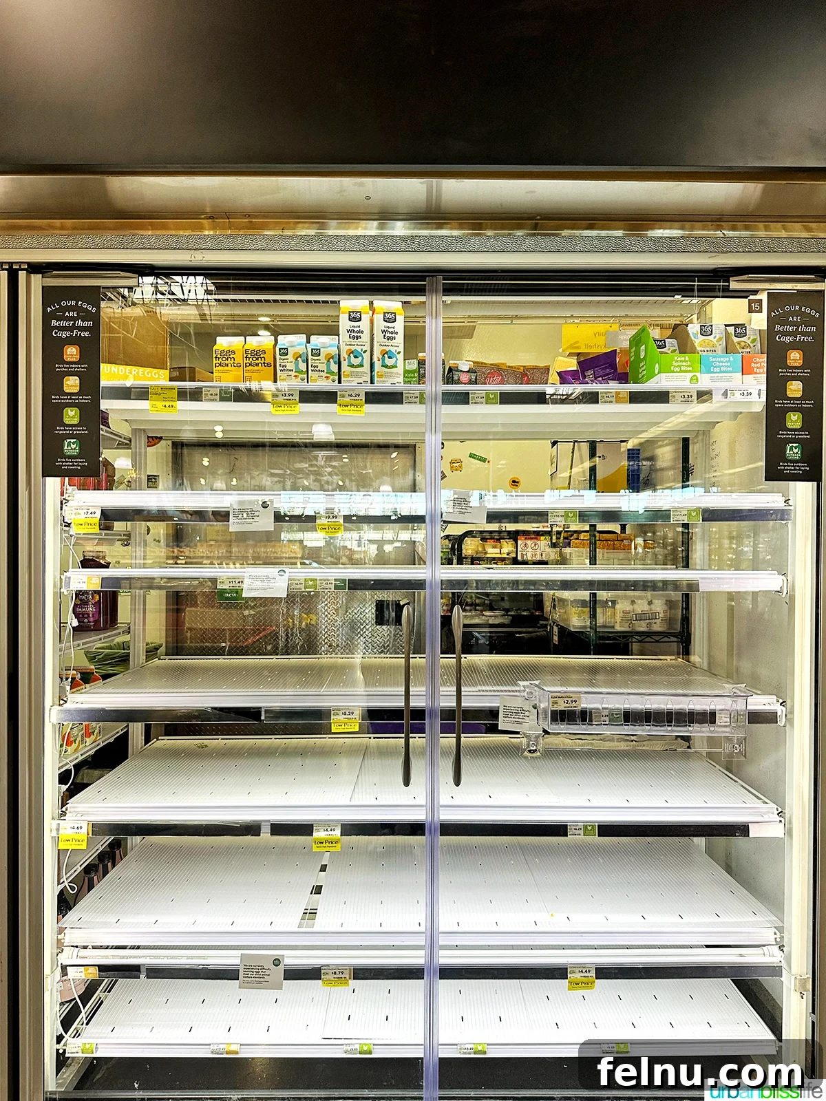 Seamless Swaps: Egg Substitutes for Every Dish 3 Empty shelves in a grocery store's egg section, highlighting the scarcity of eggs.