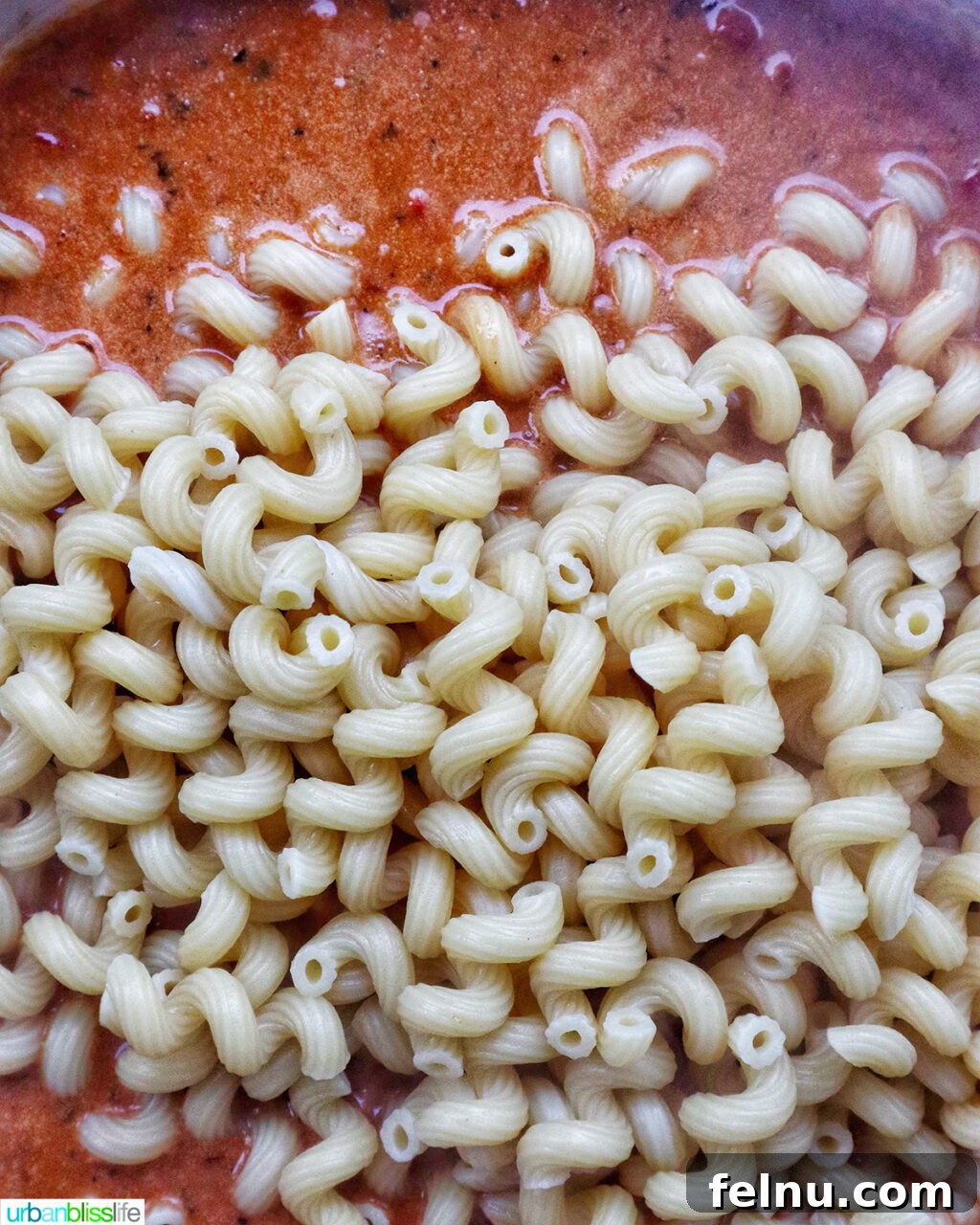 Chorizo Chicken Pasta
Sizzling Chorizo Chicken Pasta 16 Adding pasta to chorizo chicken pasta in a pan.