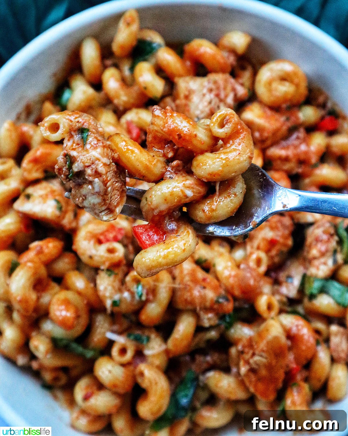 Chorizo Chicken Pasta
Sizzling Chorizo Chicken Pasta 18 Forkful of chorizo chicken pasta.