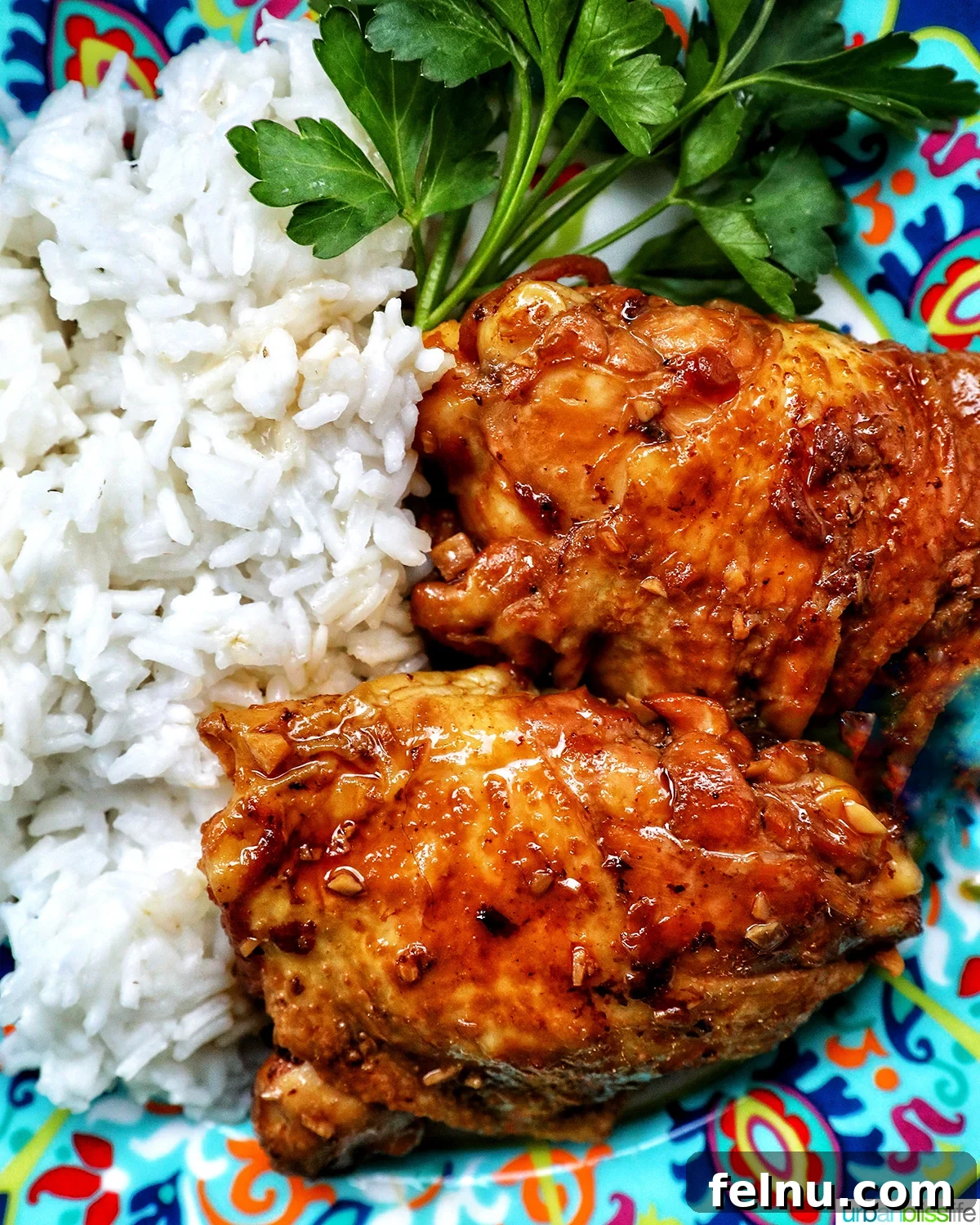 Fragrant Chinese Braised Chicken 3 Chinese braised chicken served with rice on a vibrant plate.
