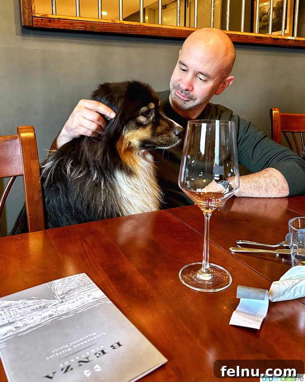 Benza Vineyards: A Legacy of Fine Wine 10 Bruno dog at Benza Vineyards