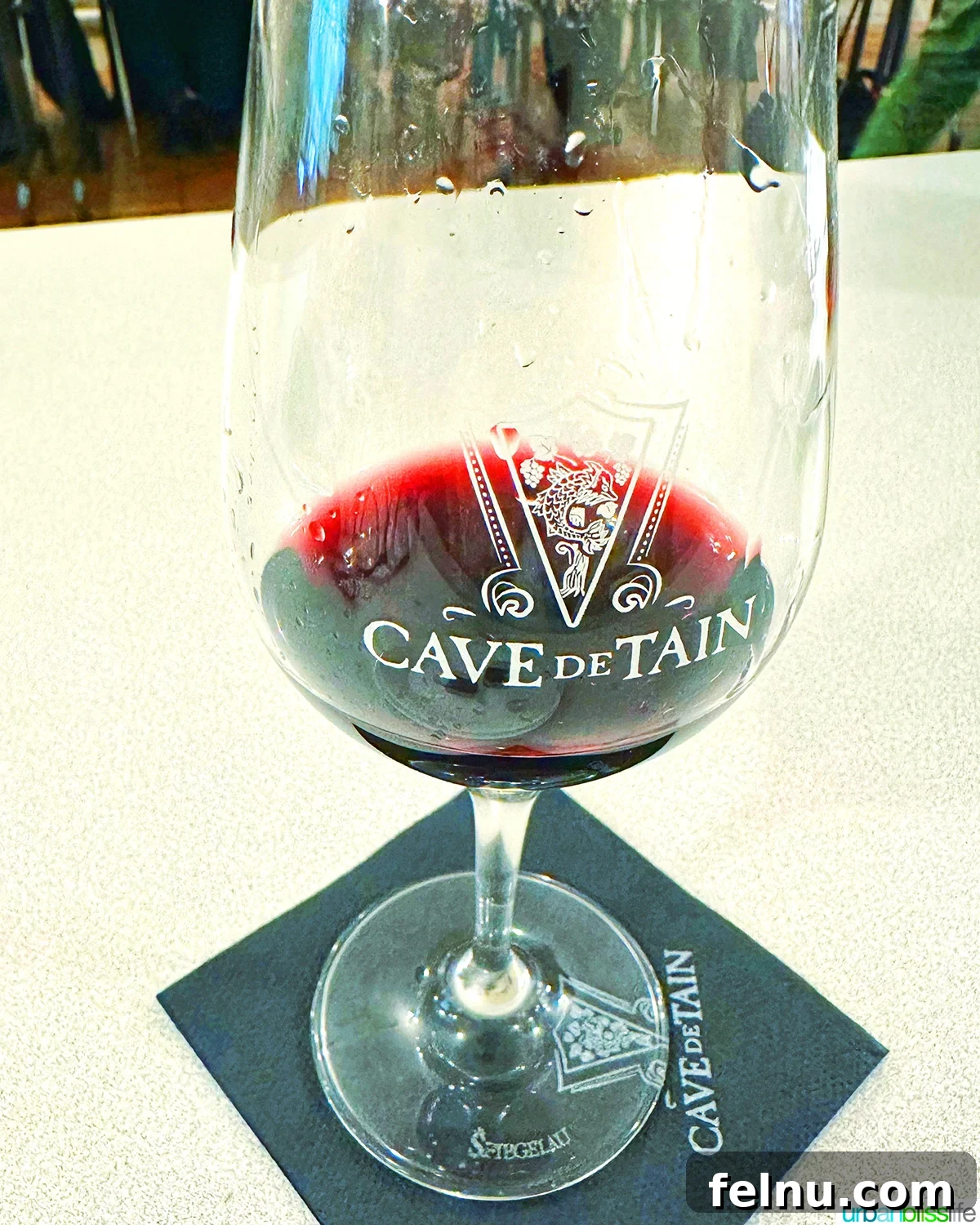 Savoring the Rhone Valley in Tournon 9 cave de tain syrah
