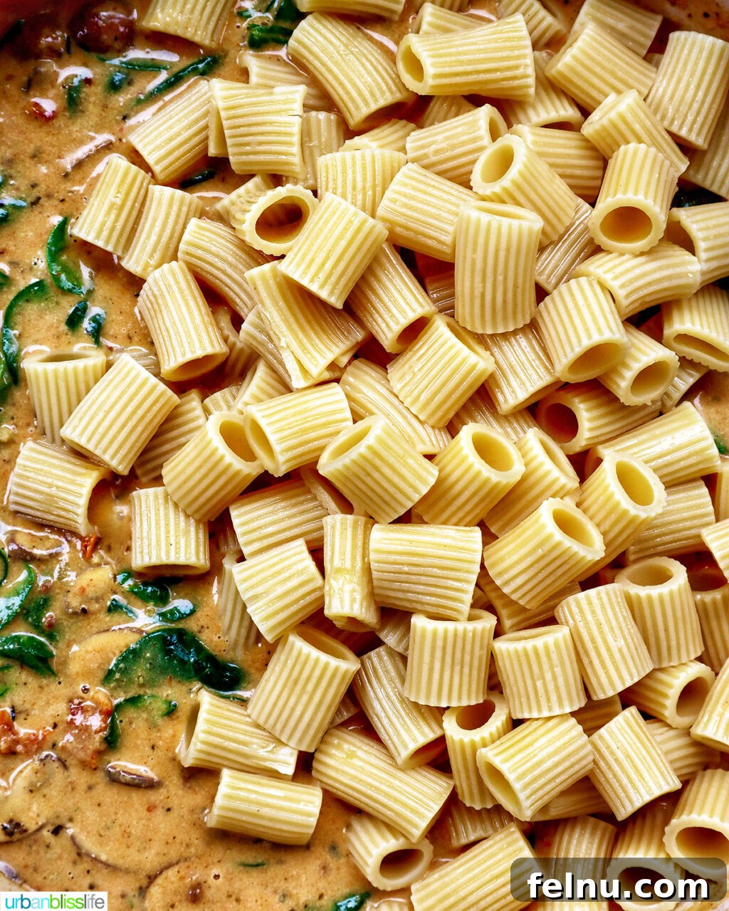 The Proposal Pasta 19 A finished bowl of Marry Me Pasta, garnished with fresh parsley and ready to serve.