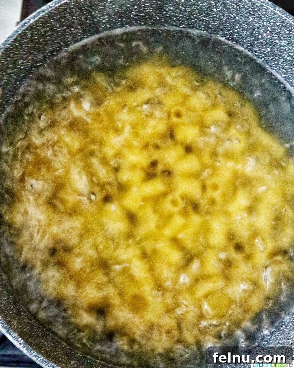 The Proposal Pasta 5 Pasta cooking in a pot of boiling water on a stovetop.