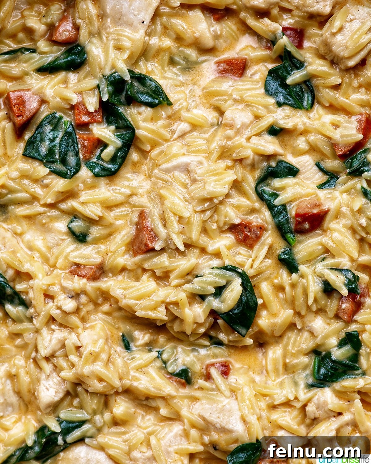 Chicken and Chorizo Orzo Skillet 3 Close-up of Chicken and Chorizo Orzo