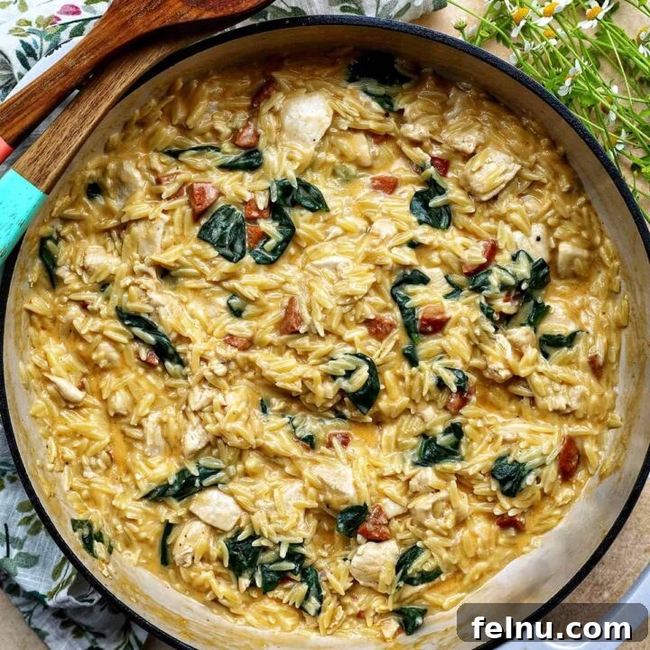 chicken and chorizo orzo in a pan