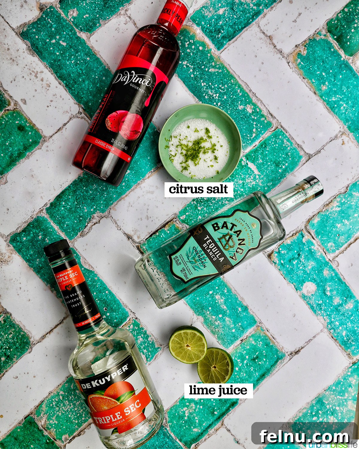 Desert Bloom Margarita 4 Ingredients laid out to make a prickly pear margarita: tequila, triple sec, prickly pear syrup, limes, and salt.