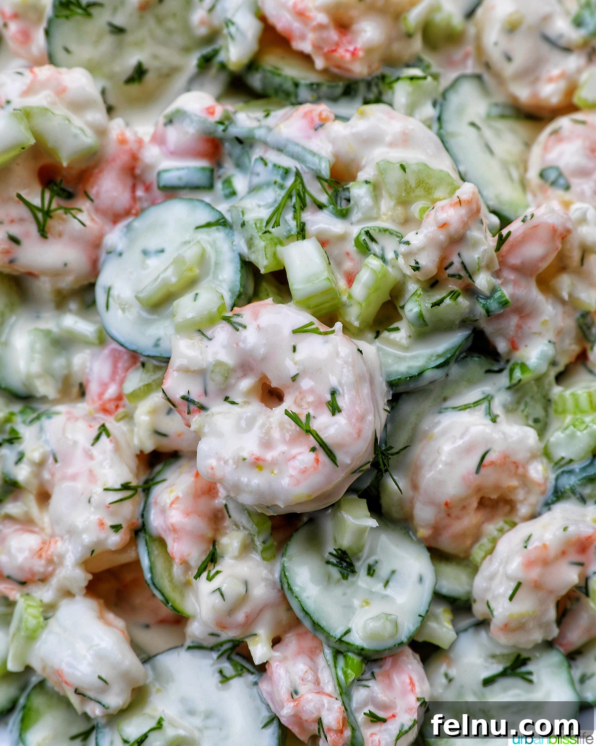 Close-up of cucumber shrimp salad