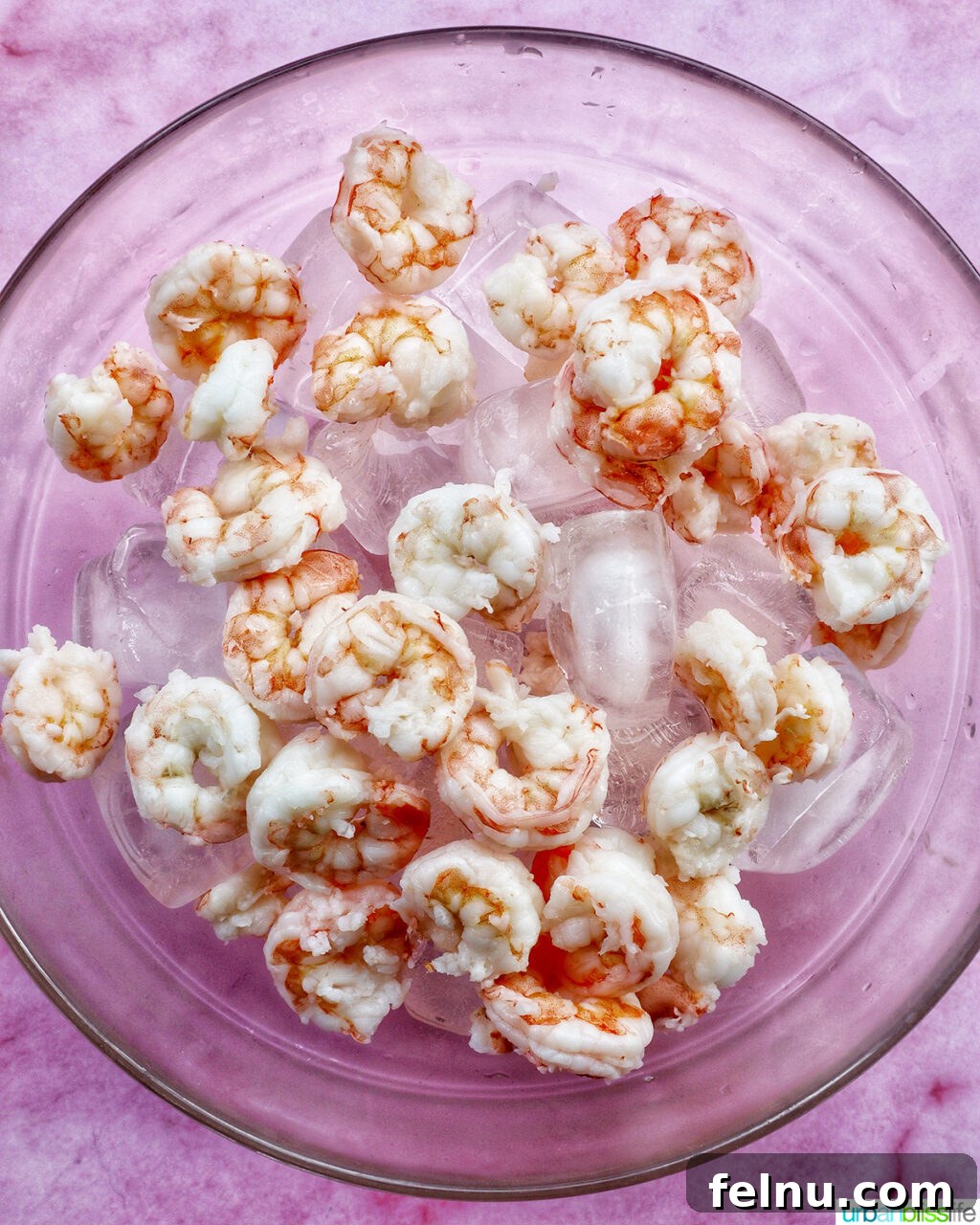 Shrimp cooling in a bowl of ice