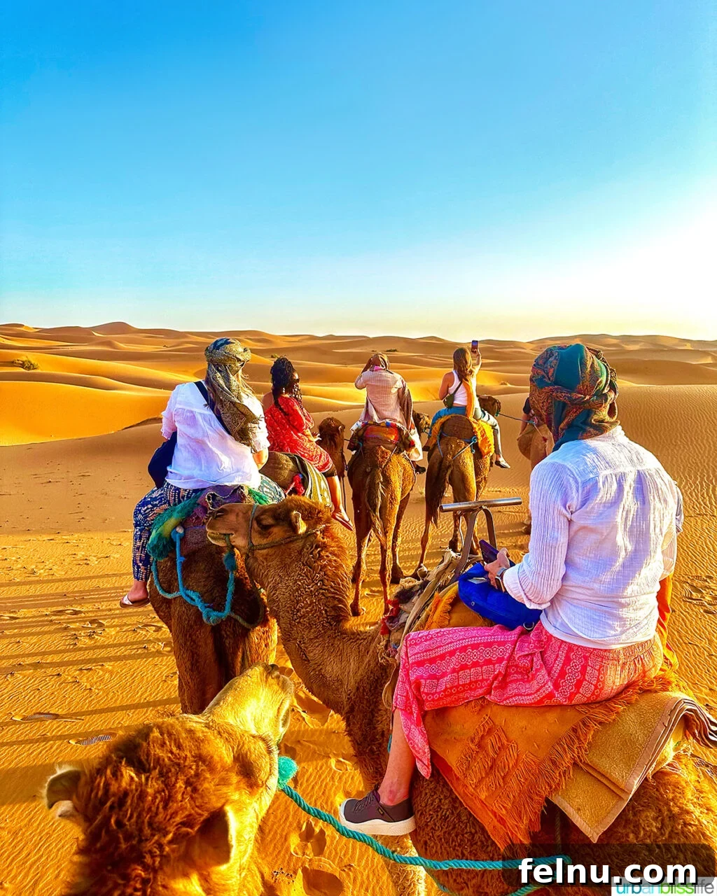 Morocco Unveiled: A 10-Day Journey from Coast to Desert 17 Riding camels in the Sahara Desert, Morocco.