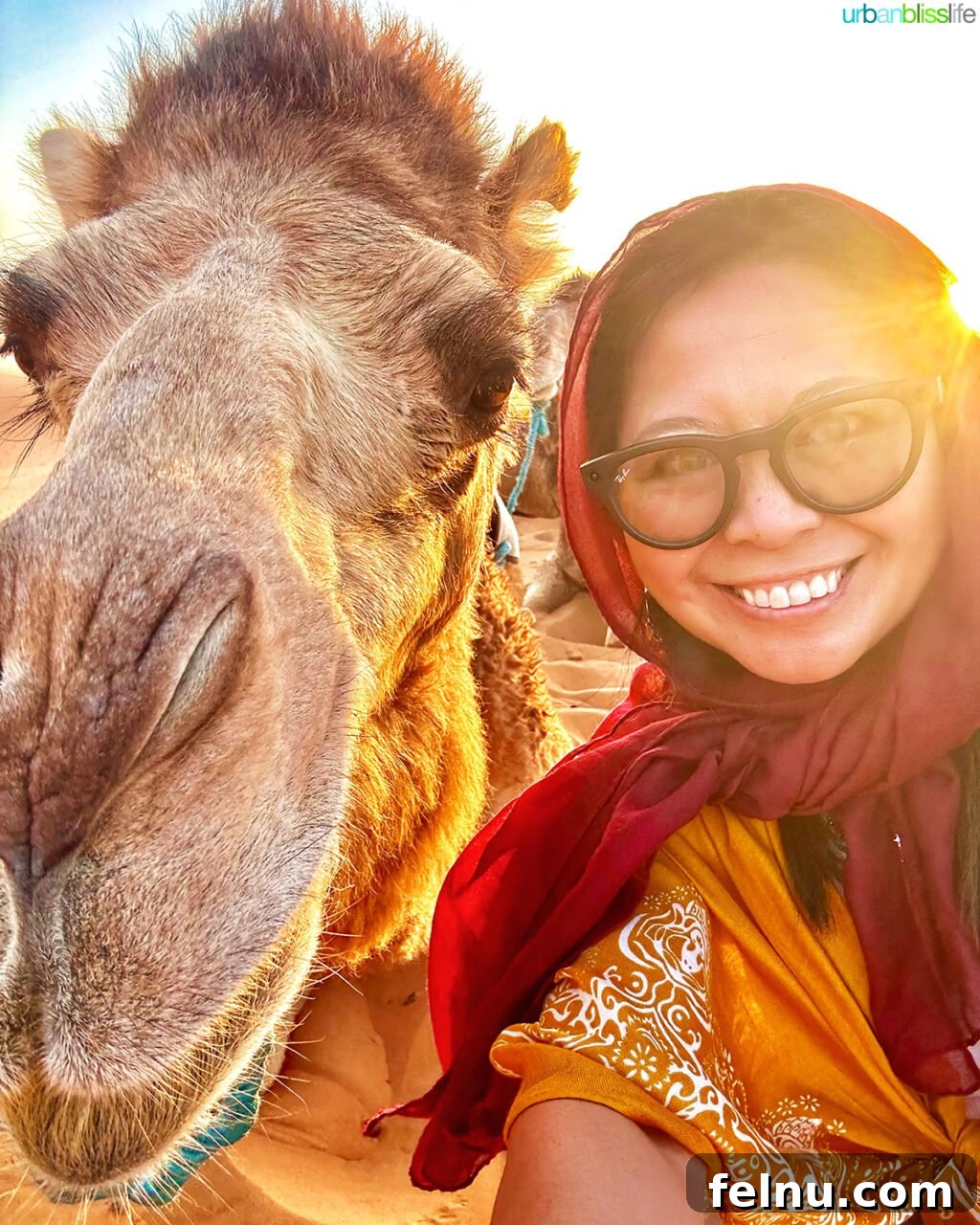 Morocco Unveiled: A 10-Day Journey from Coast to Desert 18 A person with a camel in the Sahara Desert, Morocco.