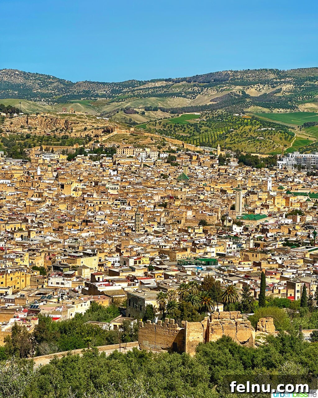 Morocco Unveiled: A 10-Day Journey from Coast to Desert 21 A panoramic city view of Fes, Morocco.