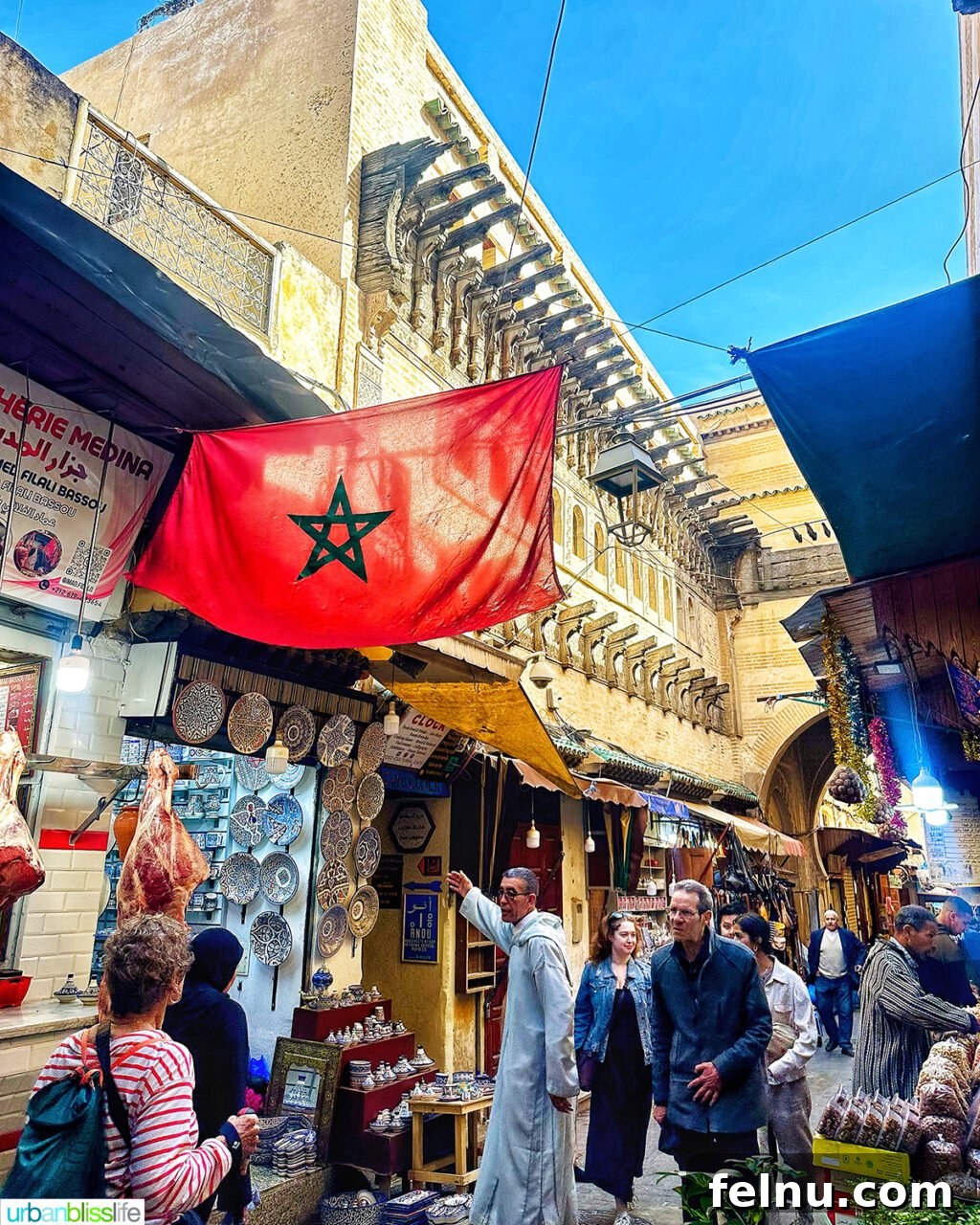 Morocco Unveiled: A 10-Day Journey from Coast to Desert 22 Exploring the historic Fes Medina in Morocco.