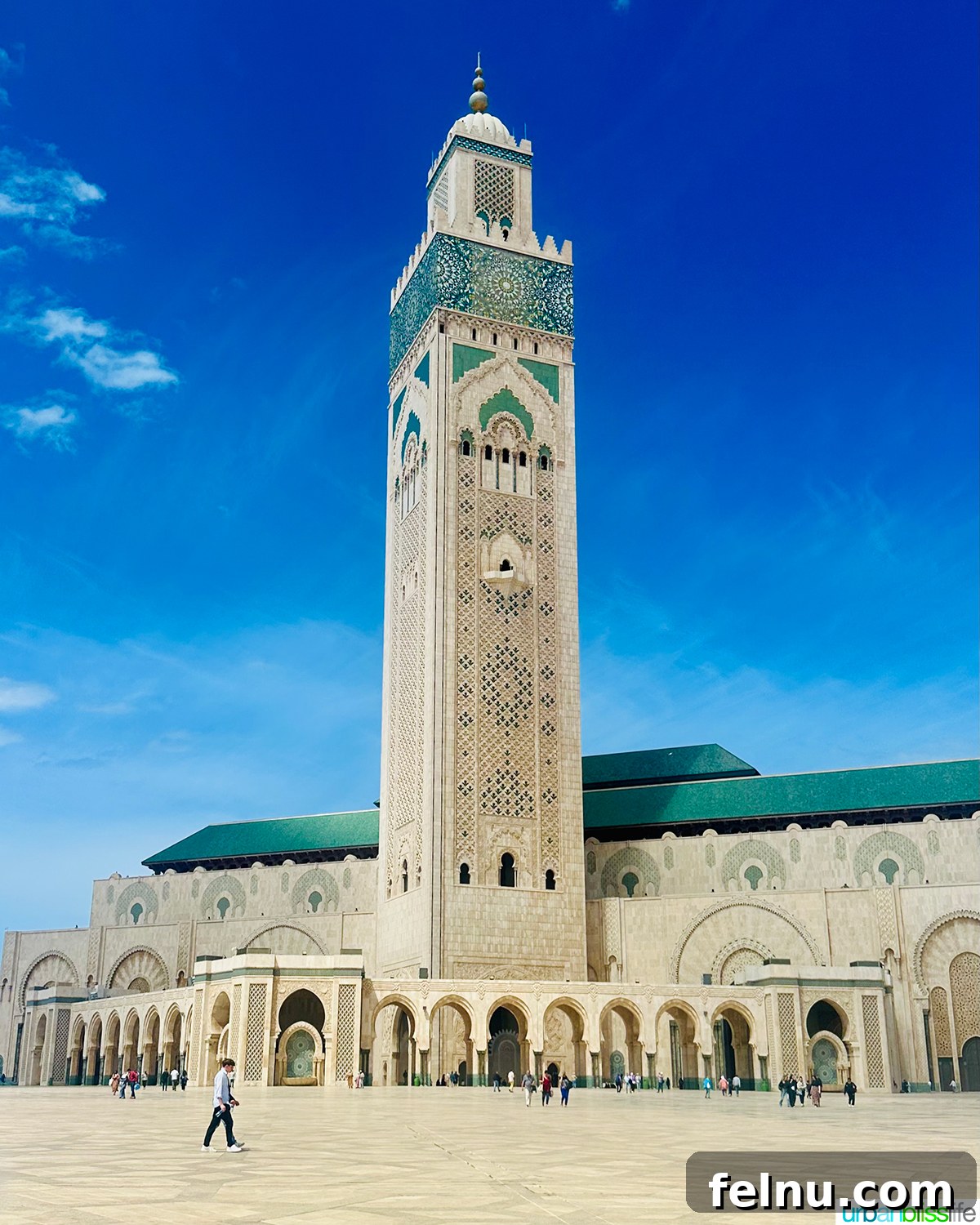 Morocco Unveiled: A 10-Day Journey from Coast to Desert 4 The magnificent Hassan II Mosque in Casablanca, Morocco.