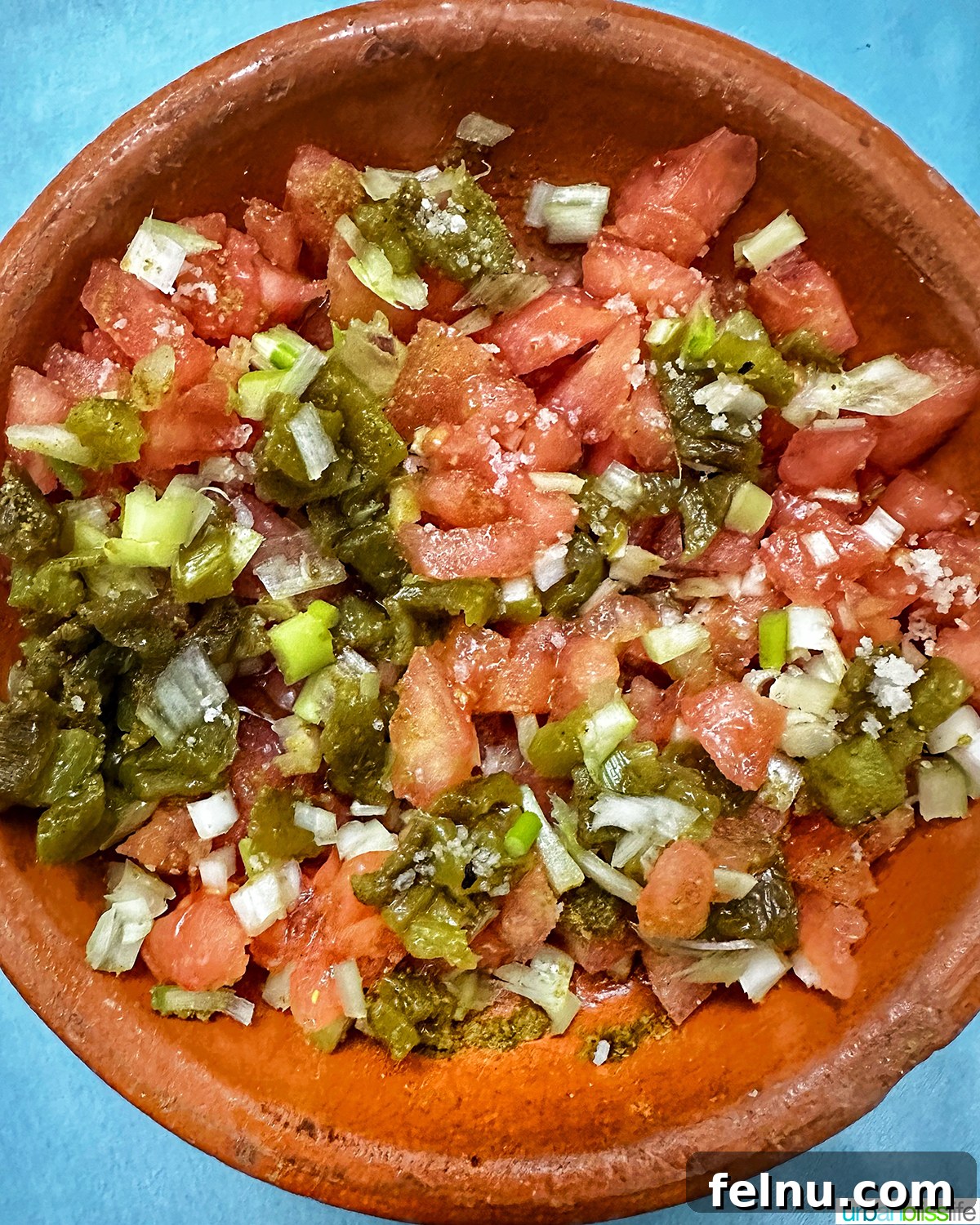 Authentic Moroccan Cuisine 18 A refreshing Moroccan Taktouka salad.
