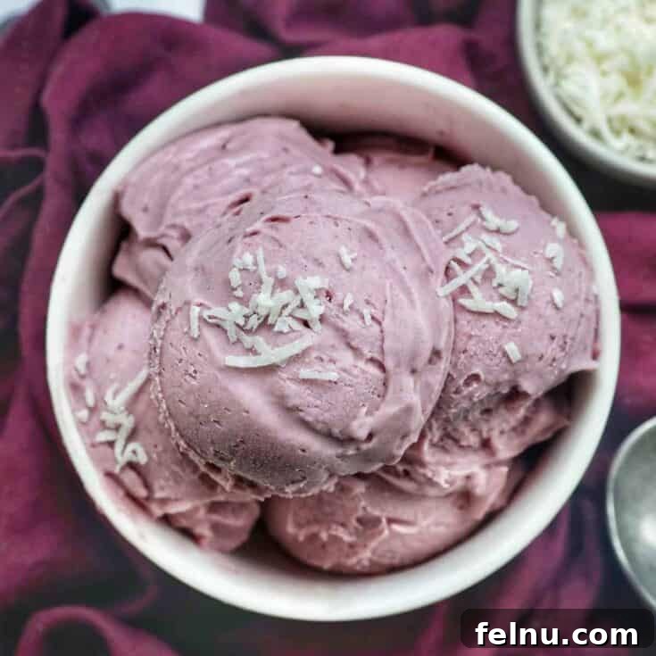Filipino Purple Yam Treats 8 A serving of homemade ube ice cream.
