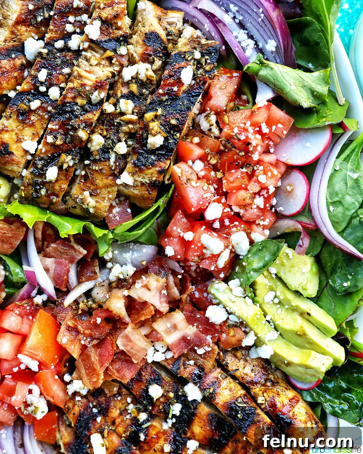 Tangy Balsamic Chicken Greens 14 A side close-up of the Balsamic Chicken Salad, showing the texture of the chicken and the vibrant vegetables.