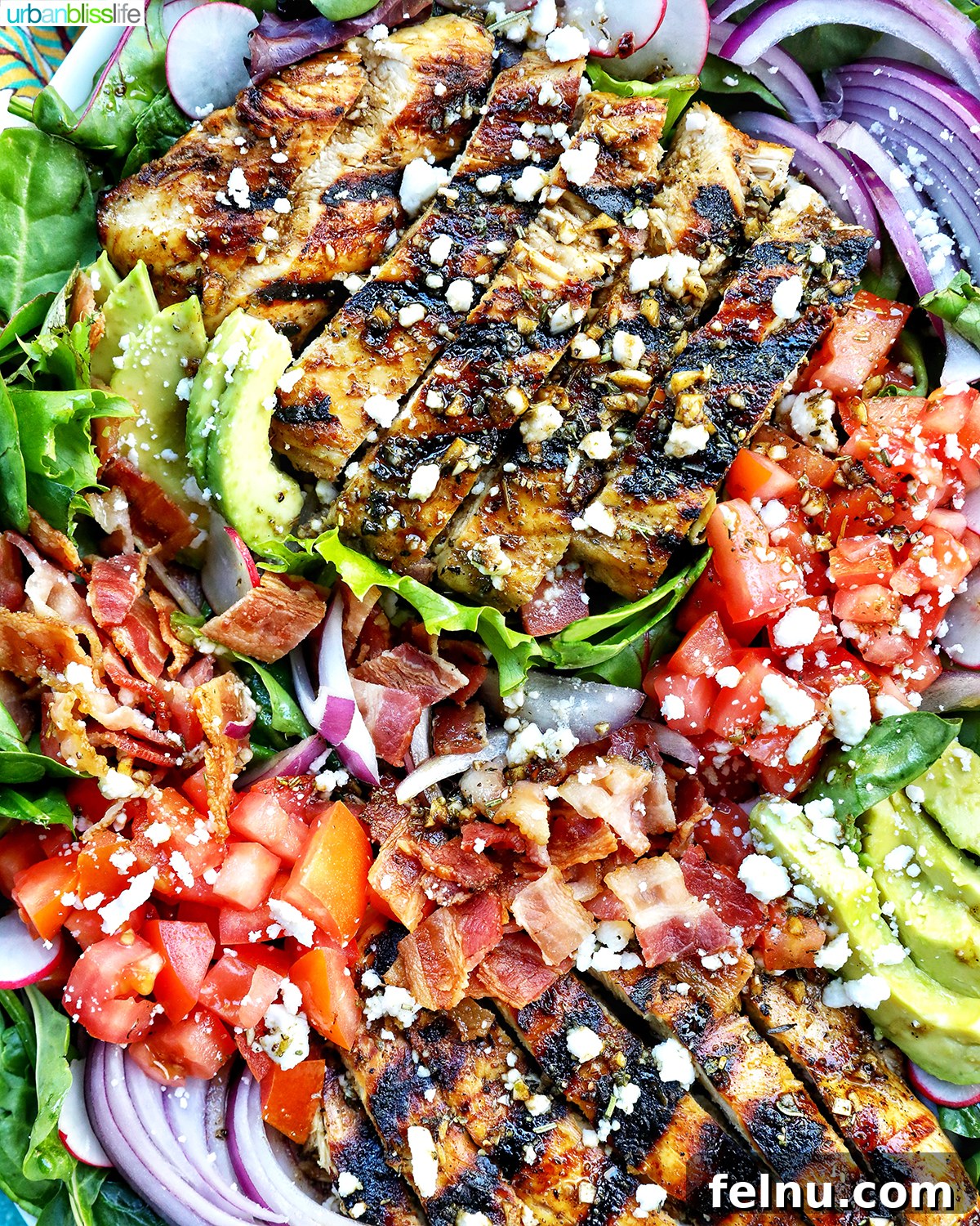Tangy Balsamic Chicken Greens 3 A close-up view of Balsamic Chicken Salad, highlighting the grilled chicken, fresh greens, cherry tomatoes, avocado, and feta, all glistening with dressing.