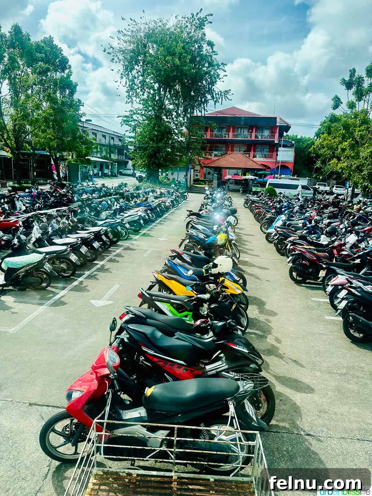 Phuket: Thailand's Tropical Gem 11 Motorcycles in Phuket, Thailand