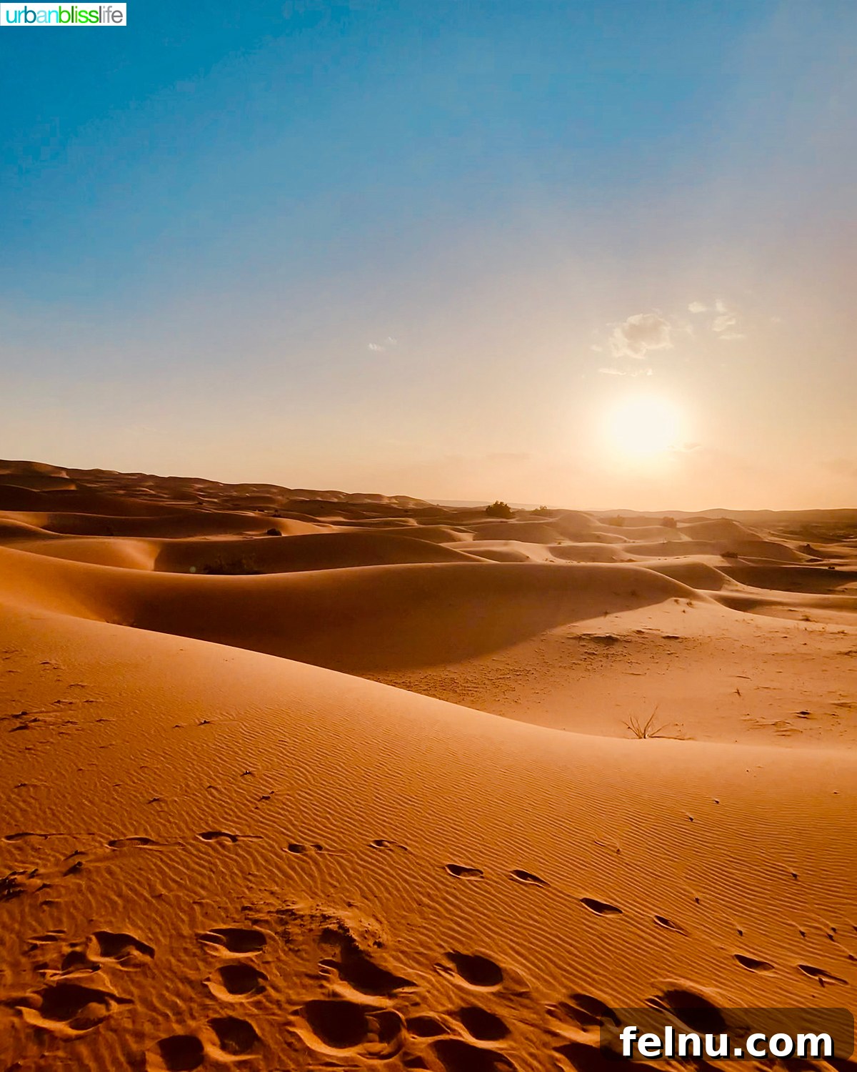 Morocco's Sahara Desert Adventure Guide 2 Sahara Desert sunset with vibrant orange and purple hues over rolling dunes.
