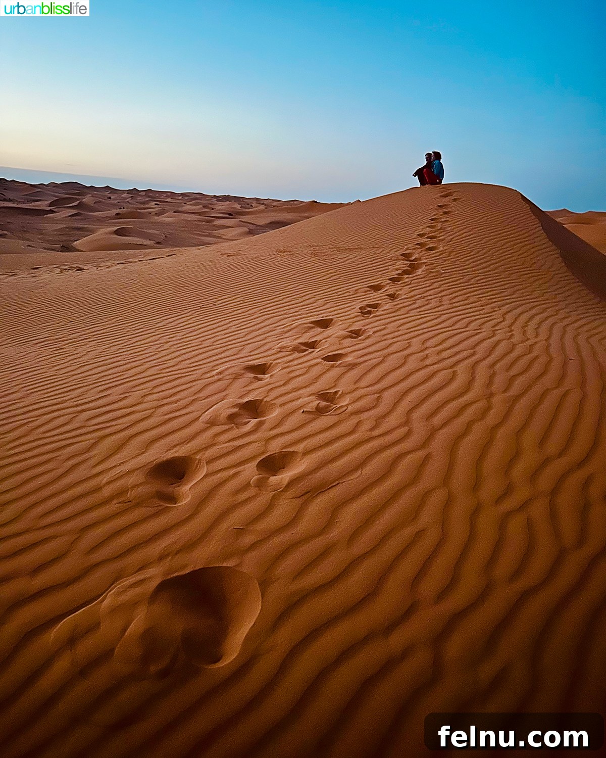 Morocco's Sahara Desert Adventure Guide 3 Footsteps leading up a steep sand dune against a clear blue sky in the Moroccan Sahara Desert at sunrise.