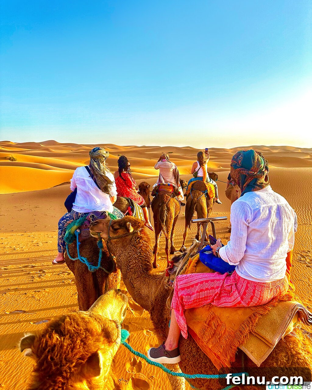 Morocco's Sahara Desert Adventure Guide 6 A group of women joyfully riding camels across the vast sand dunes of the Sahara Desert in Morocco, illuminated by the warm glow of sunset.