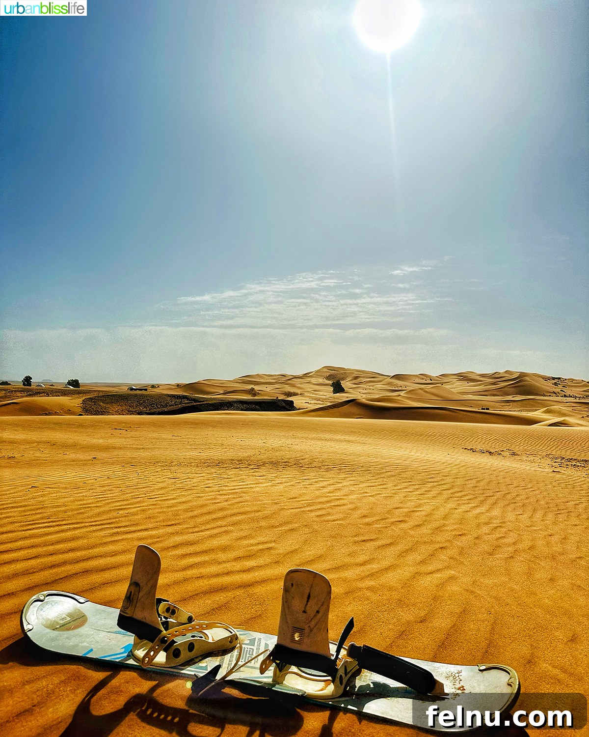 Morocco's Sahara Desert Adventure Guide 8 A sandboard standing upright on a sand dune, ready for adventure in the Sahara Desert in Morocco.