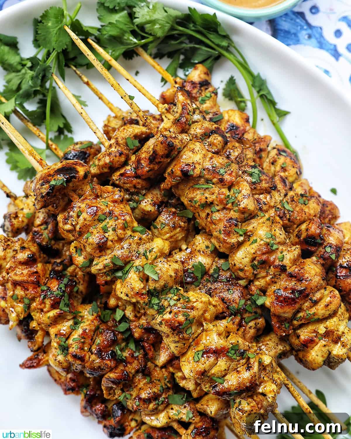 Tandoori Chicken Kebabs 2 Tandoori Chicken Skewers