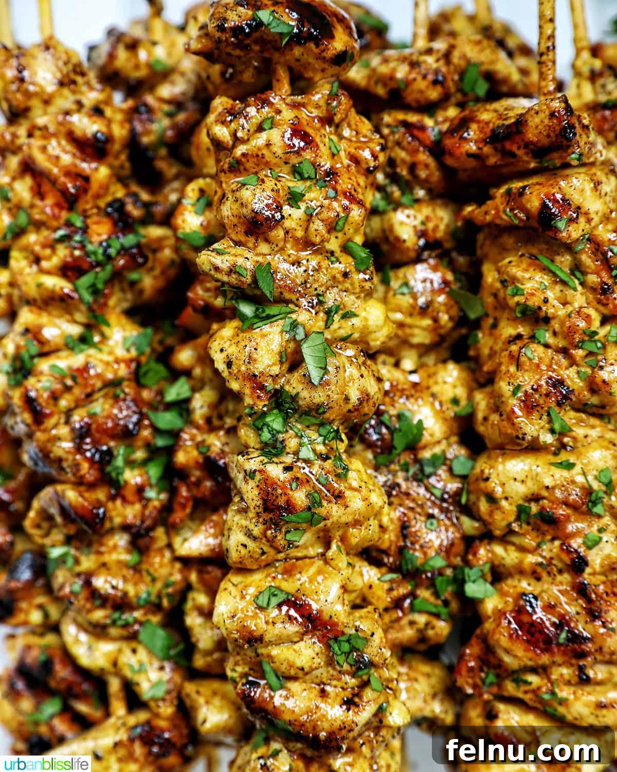 Tandoori Chicken Kebabs 4 Closeup of tandoori chicken skewers with chopped parsley garnish.
