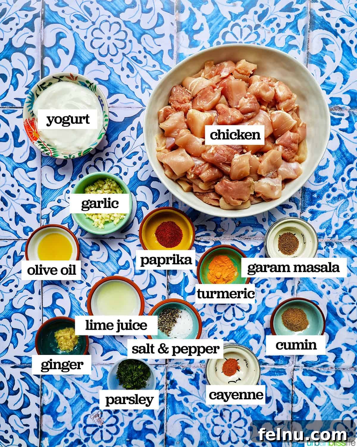 Tandoori Chicken Kebabs 5 Ingredients to make tandoori chicken.