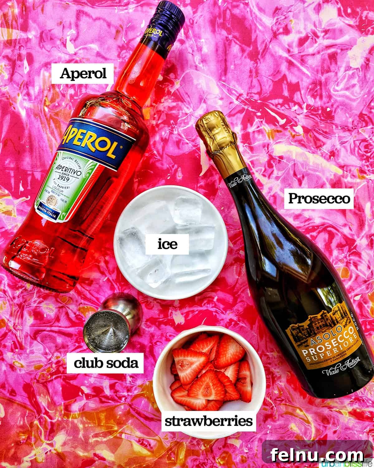 Ingredients for making a Strawberry Spritz: Aperol, Prosecco, and fresh strawberries.