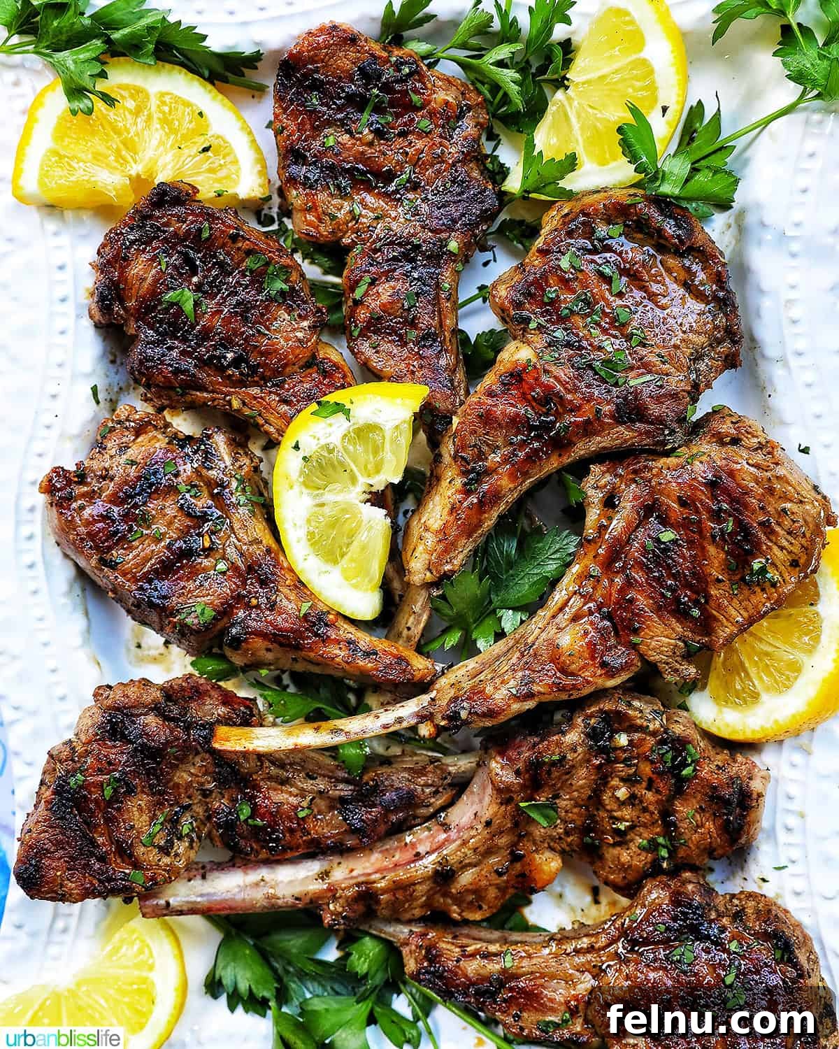 Aegean Lamb Chops 2 Greek lamb chops on a white plate with herbs and lemon slices, ready to be served.
