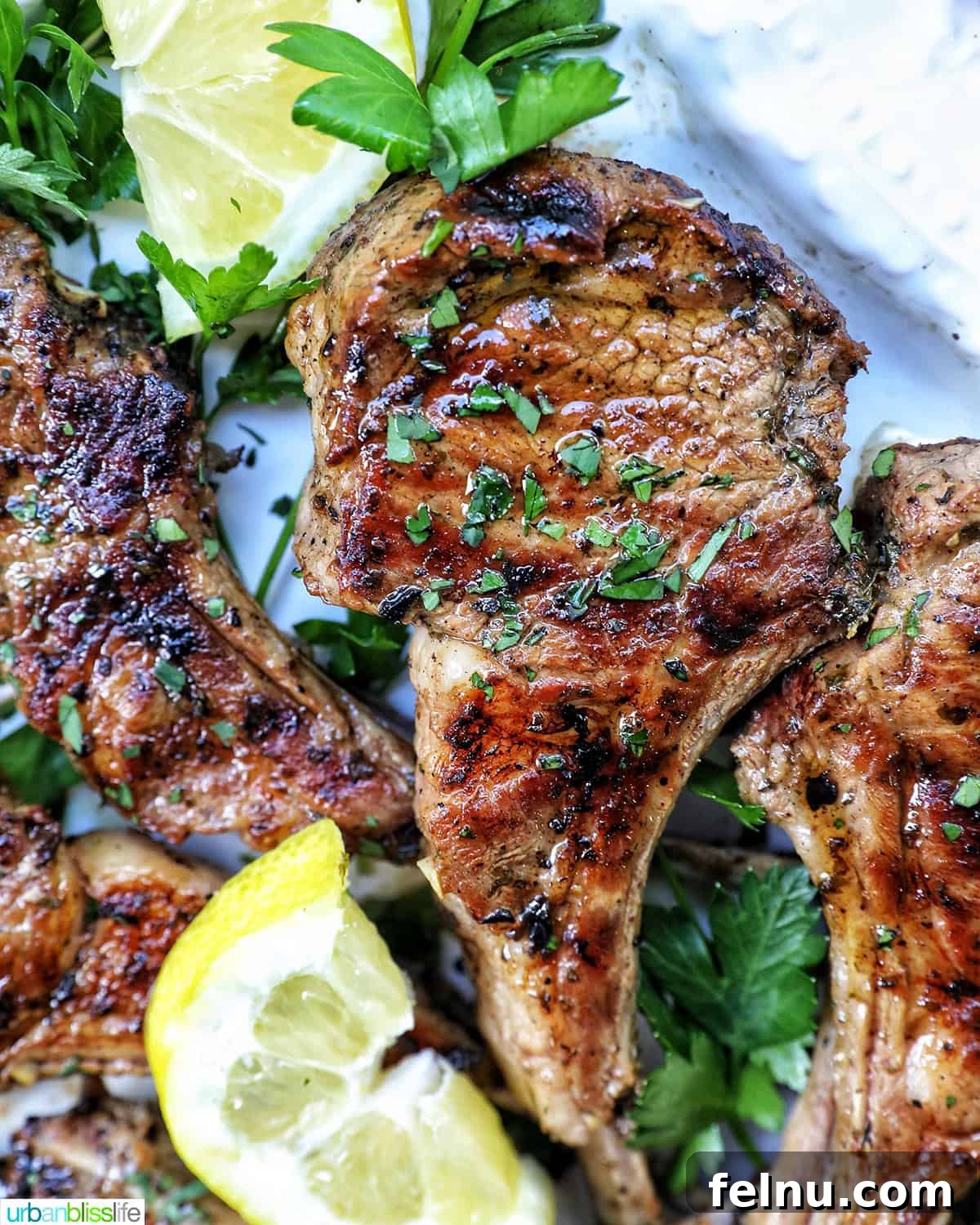 Aegean Lamb Chops 3 Close-up of a single Greek lamb chop on a white plate, garnished with herbs and lemon.