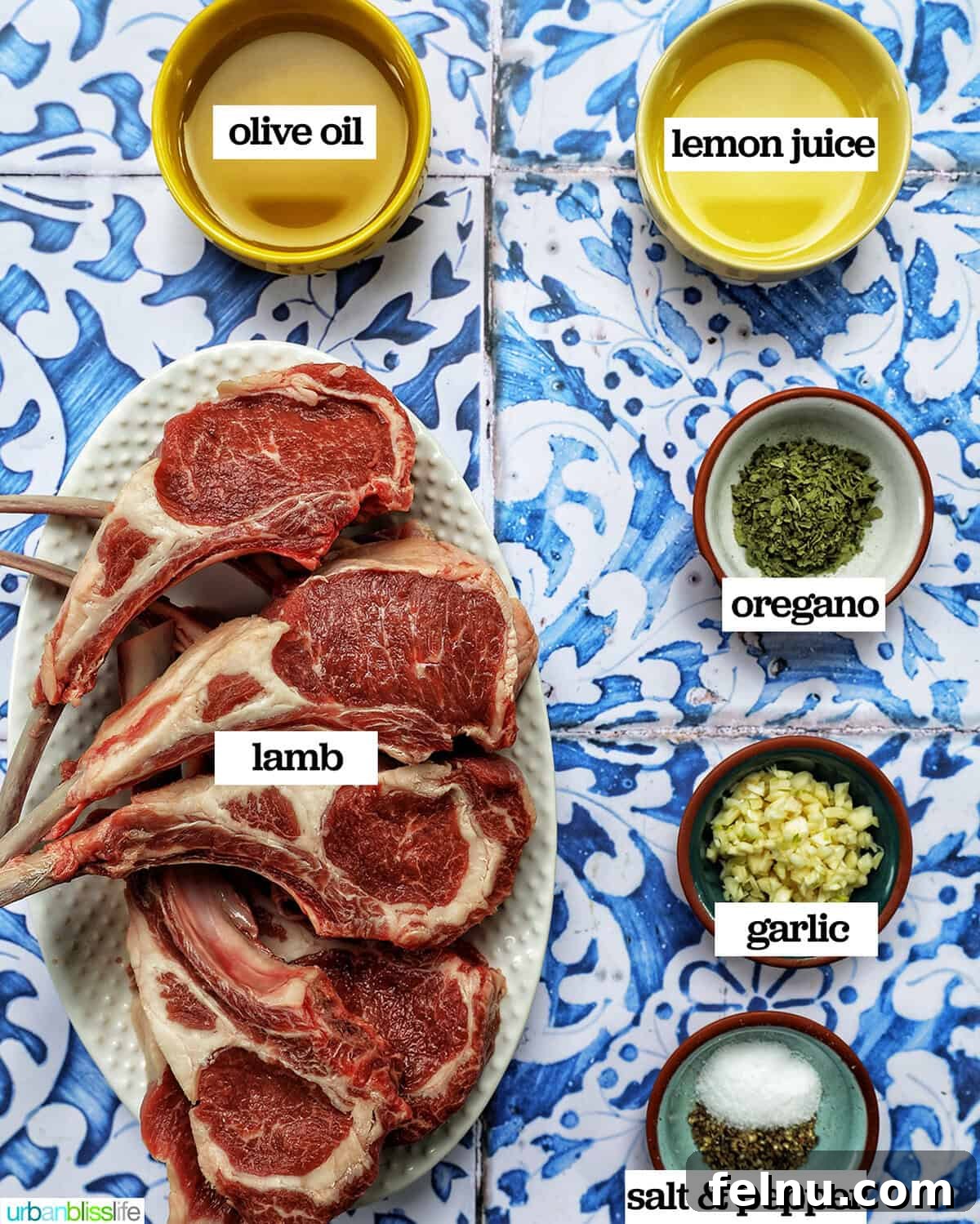 Aegean Lamb Chops 4 Ingredients laid out on a table to make Greek lamb chops, including lamb, lemons, garlic, and herbs.